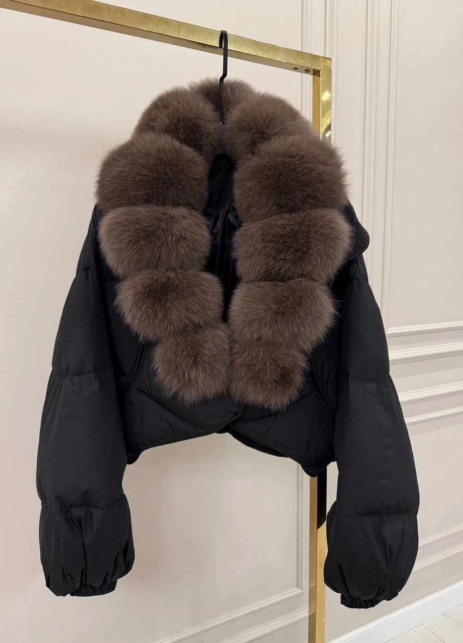 New collection