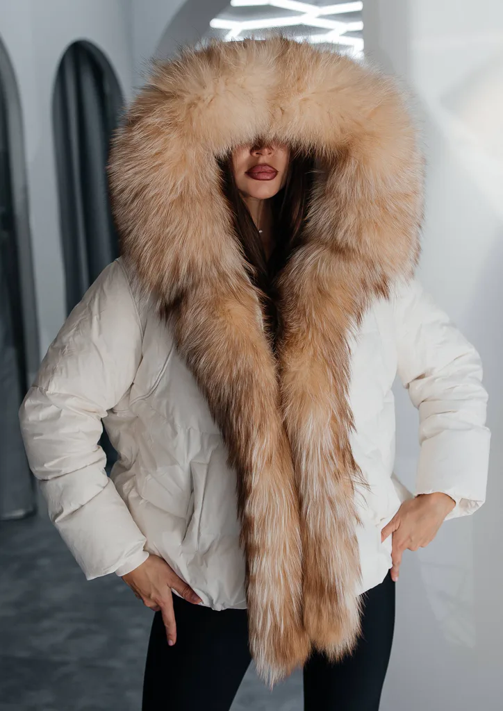 New collection